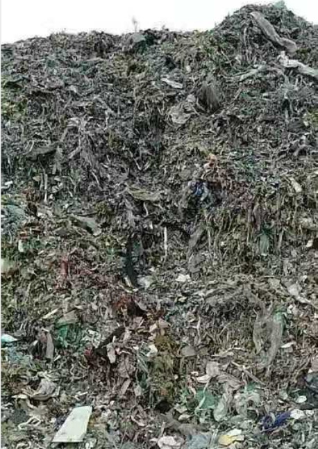 一般固廢處置 (11)